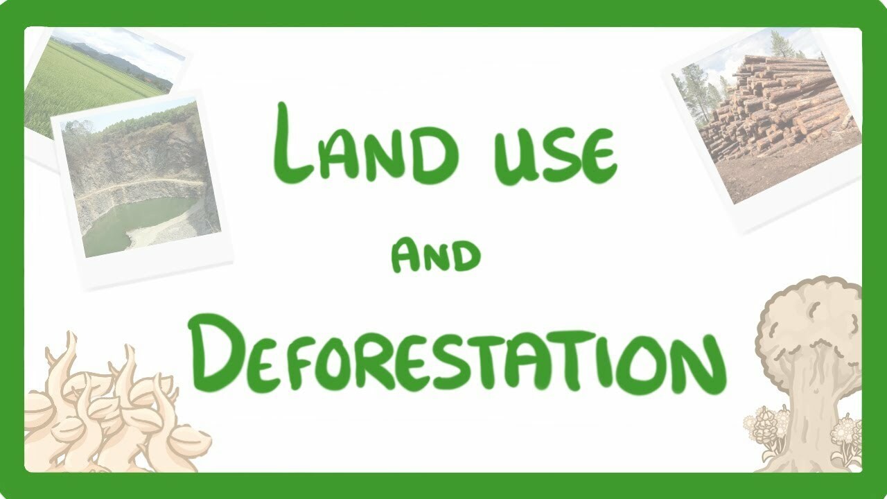 GCSE Biology Land Use Deforestation & Peat Bogs 92 Maths English